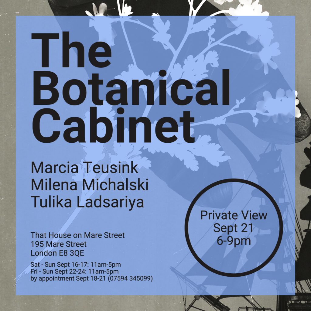 The botanical cabinet flyer