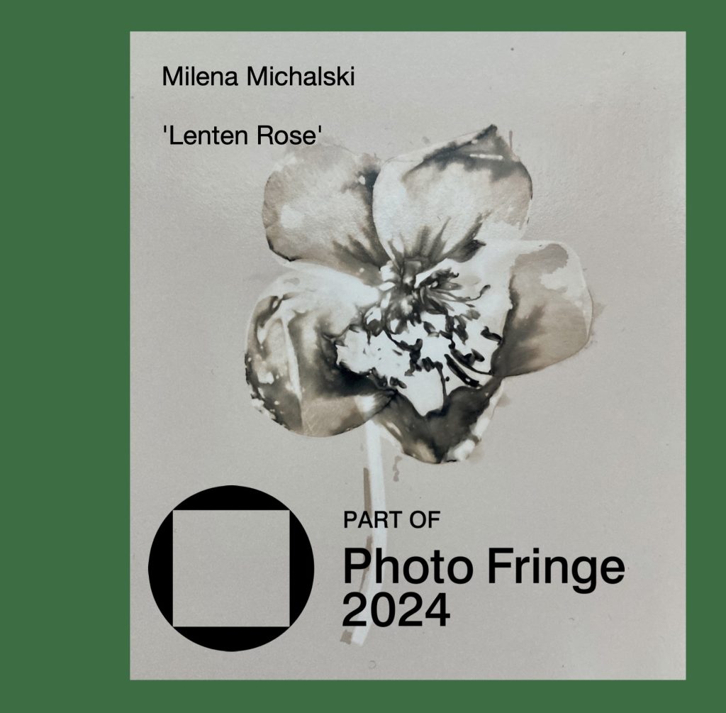 Photo Fringe 2024 logo and flower phytogram by Milena Michalski 